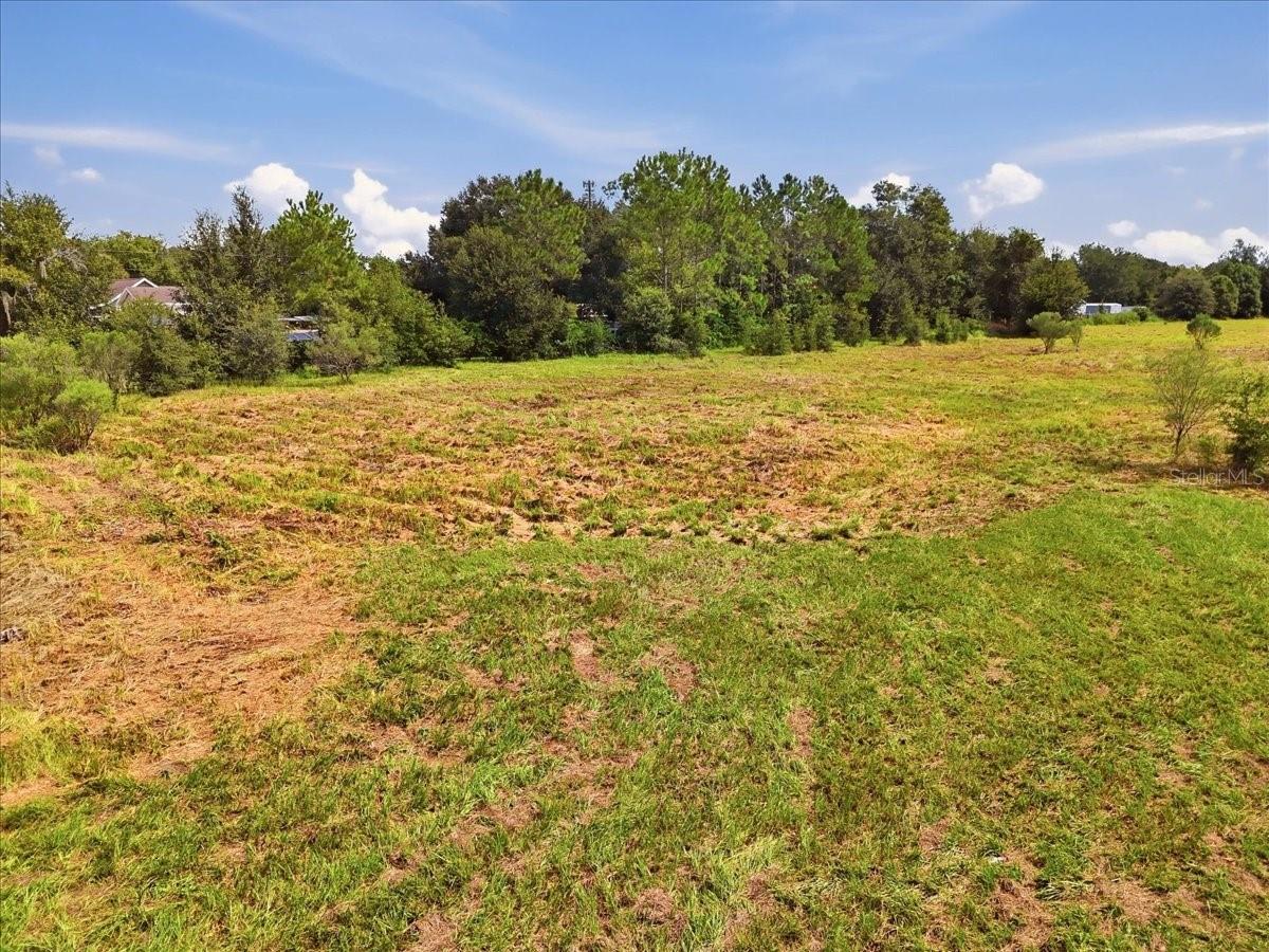 Partly cleared grassy land with a tree line and distant buildings beneath a blue sky.