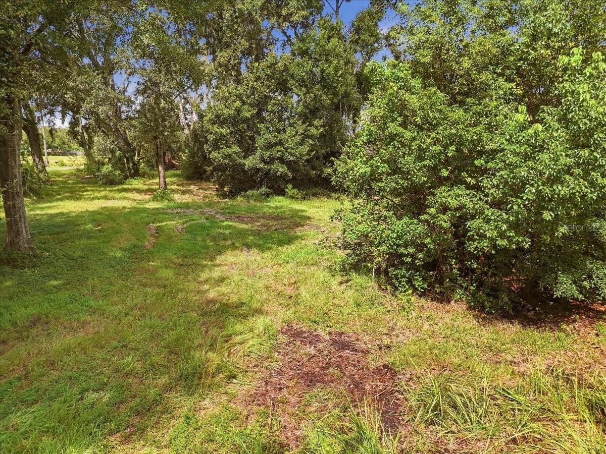 Wooded property with a grassy clearing, mature trees, and a narrow path.
