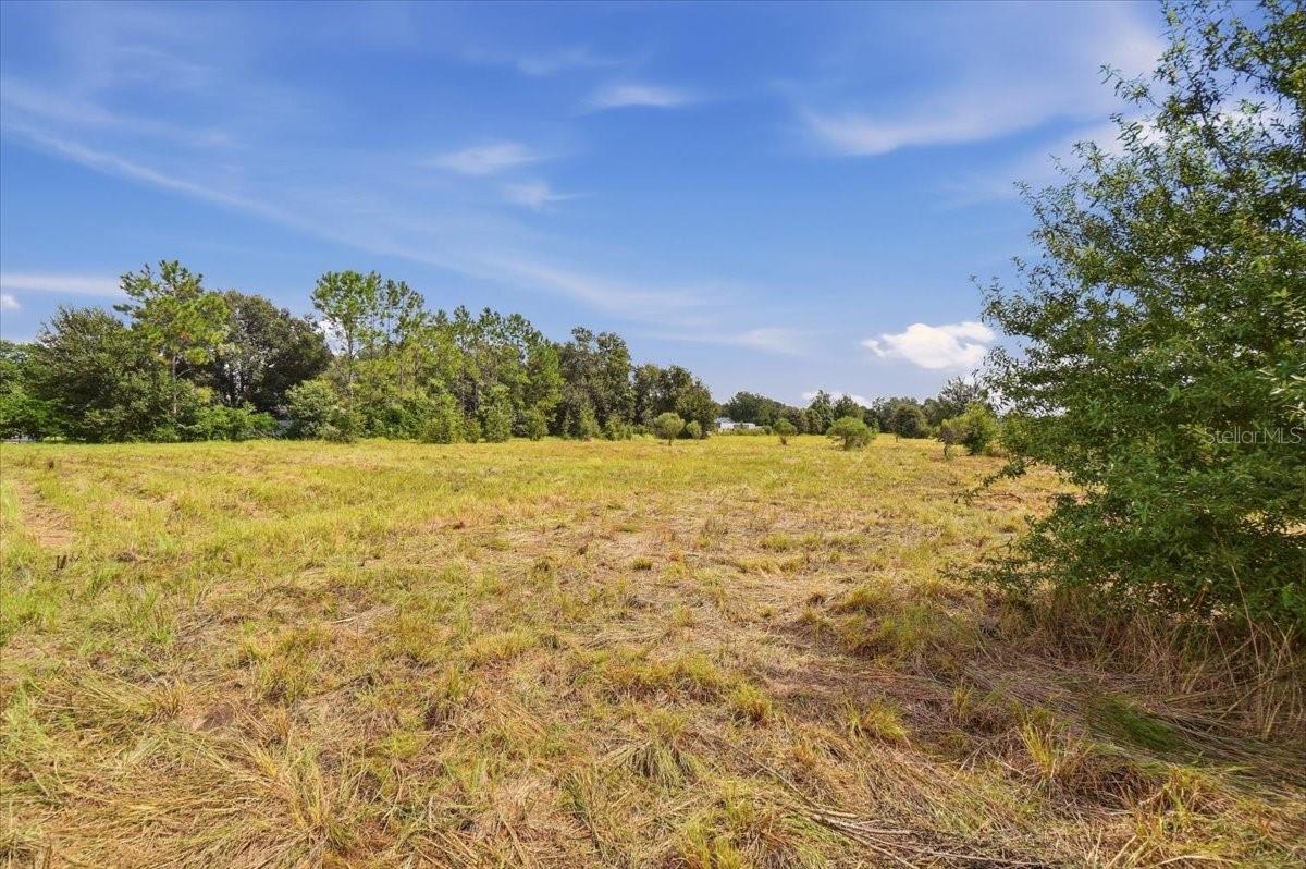 Open grassy lot bordered by trees beneath a blue sky.