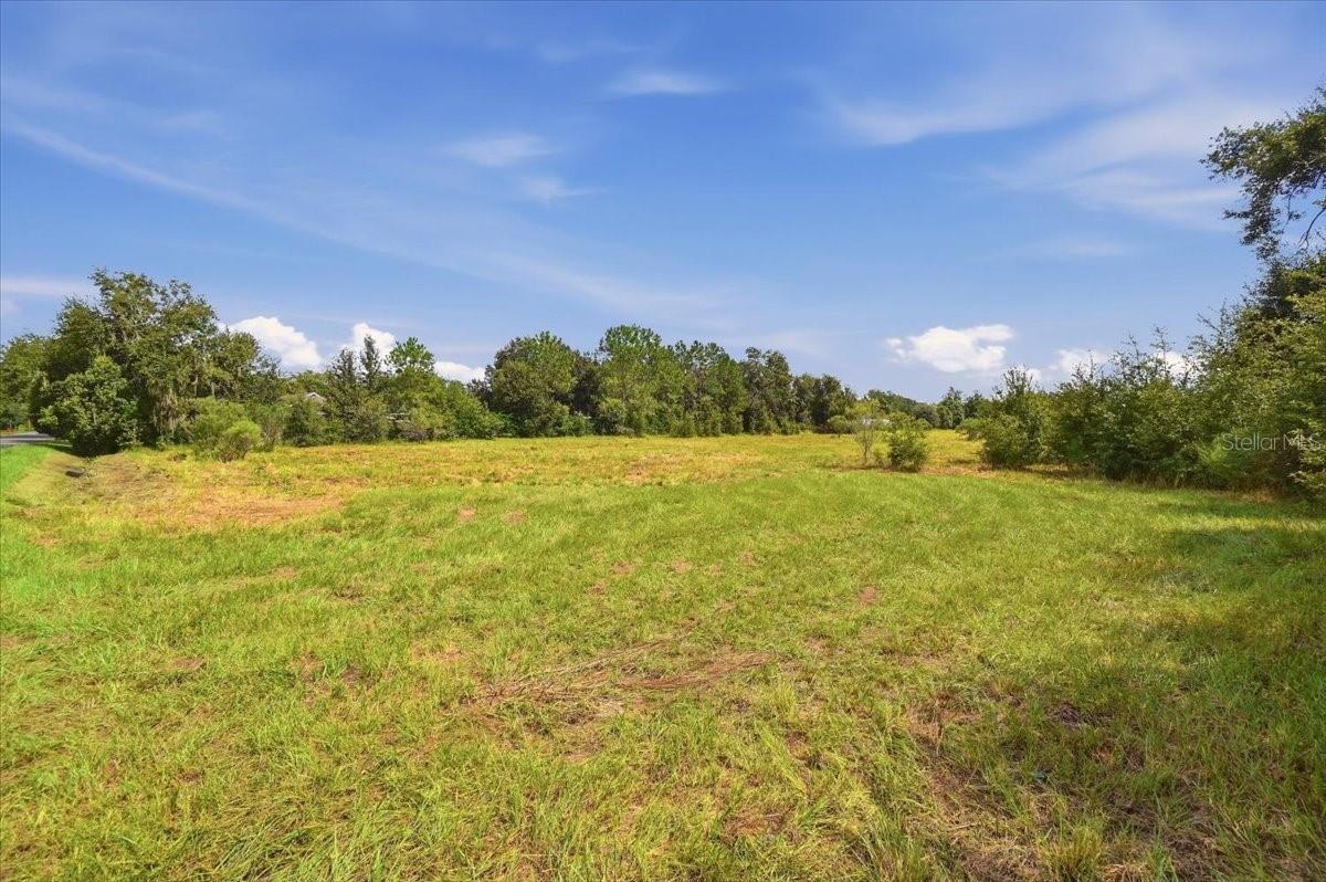 Open grassy parcel bordered by trees, with a small section of road at the left edge.