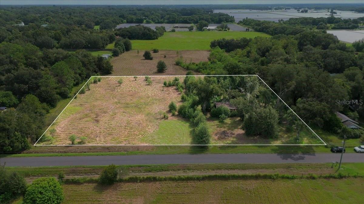 Aerial view of a partly cleared, tree-lined parcel outlined in white beside a road.