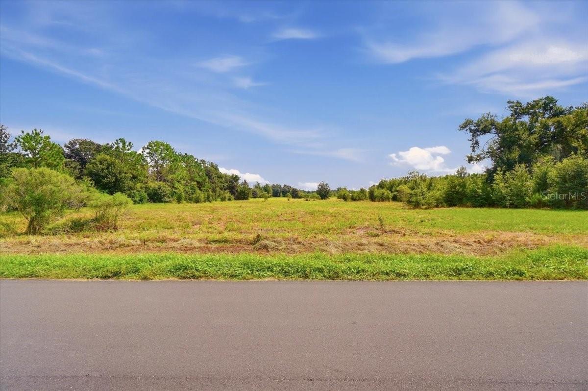 Open grassy lot with tree-lined edges and paved road frontage under a blue sky.