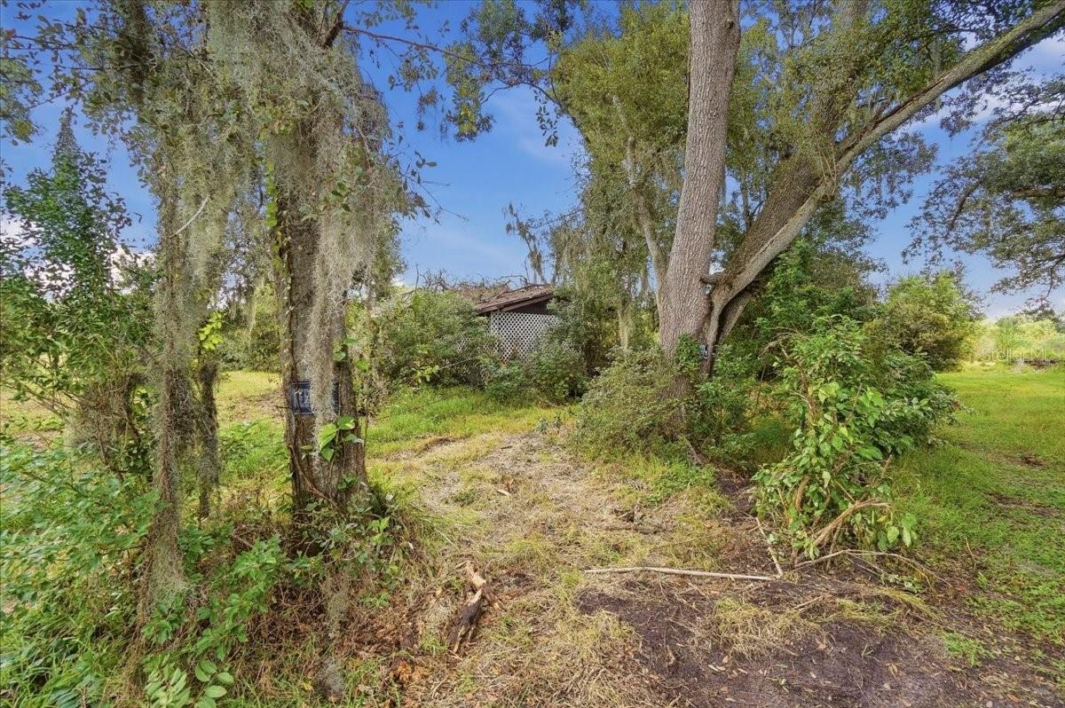 Wooded property with an overgrown path leading toward a house partly hidden by trees and shrubs.