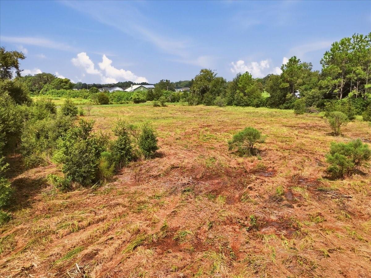 Cleared lot with dry grass, bordering trees, and distant homes.