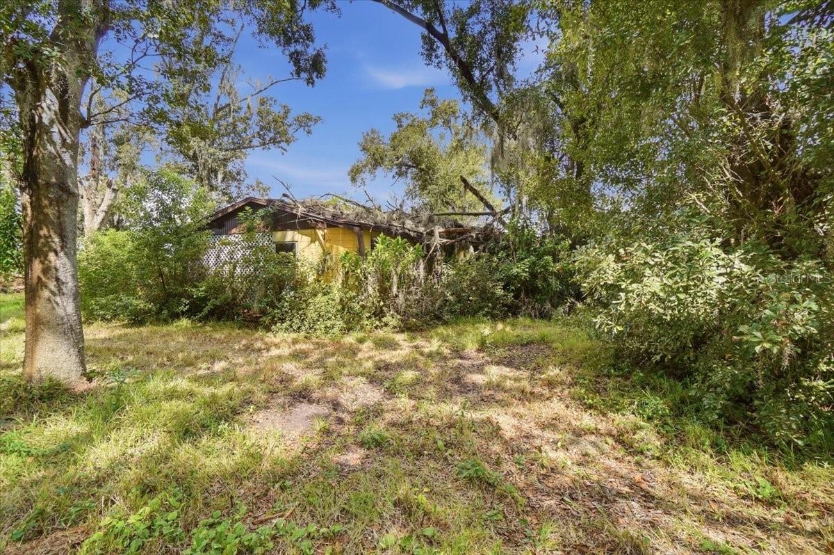 Yellow single-story house partly obscured by dense shrubs and mature trees in an overgrown yard.