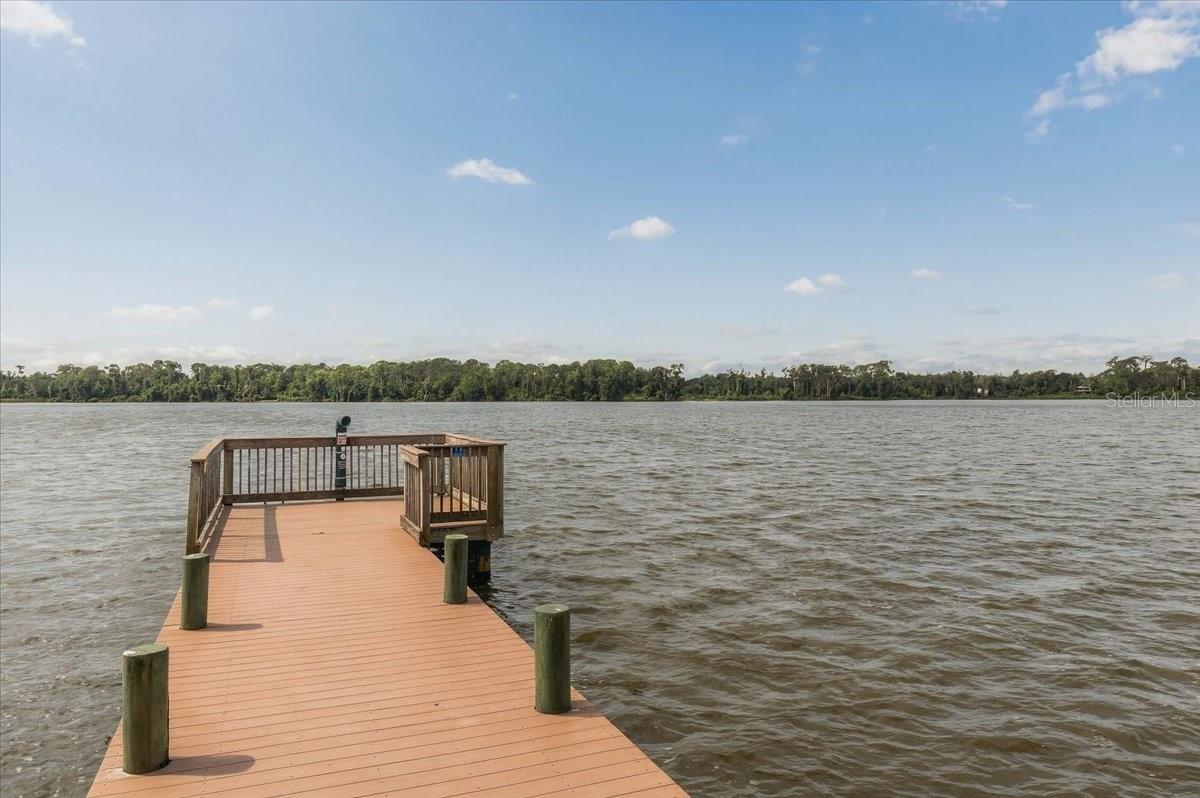 Wooden dock extends into a lake, with a tree-lined shore under a clear sky.