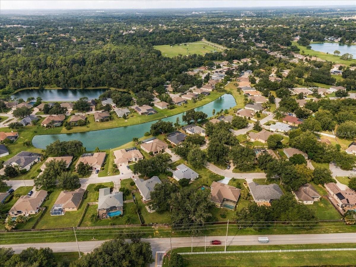 Aerial view of homes among trees, with a long pond winding through the neighborhood.