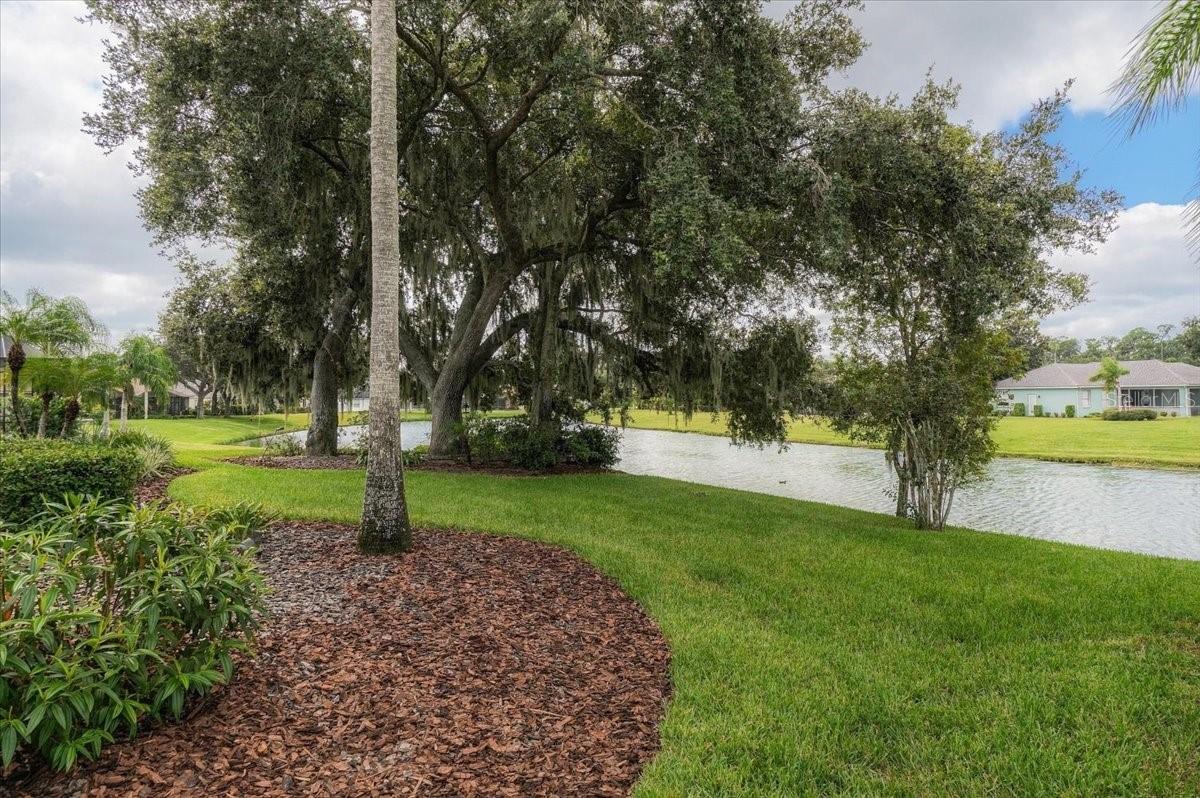 Waterfront yard with moss-draped oak trees, a curved mulch bed, and neighboring homes across the pond.
