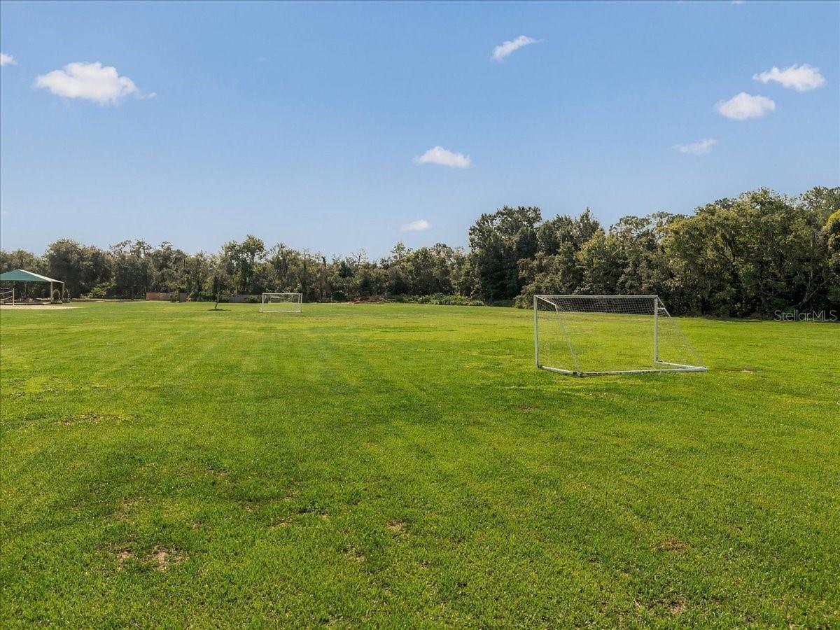 Broad grassy field with two soccer goals and a covered pavilion beside a wooded tree line.