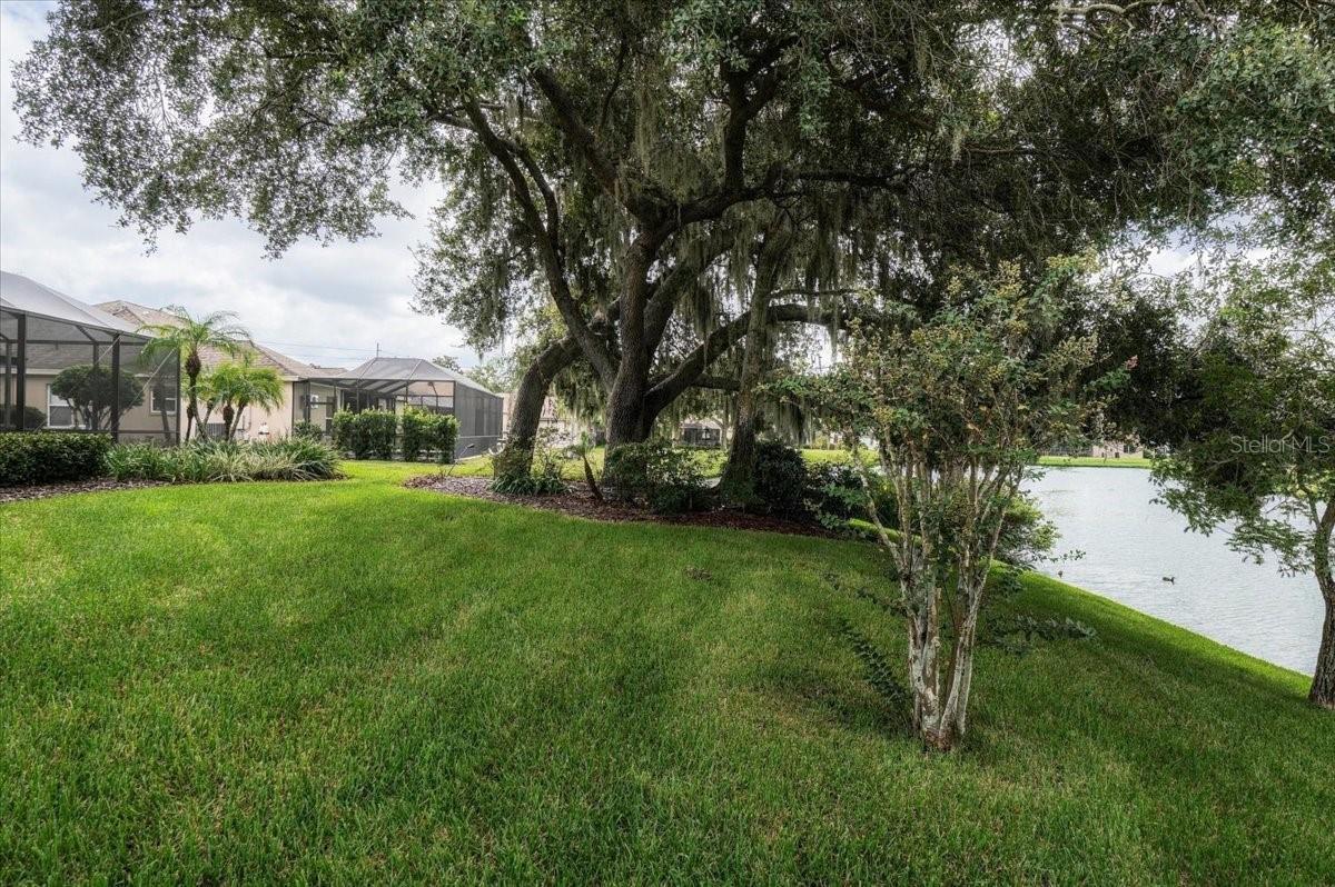 Waterfront yard with a sprawling Spanish moss-draped oak and pond beside the lawn.