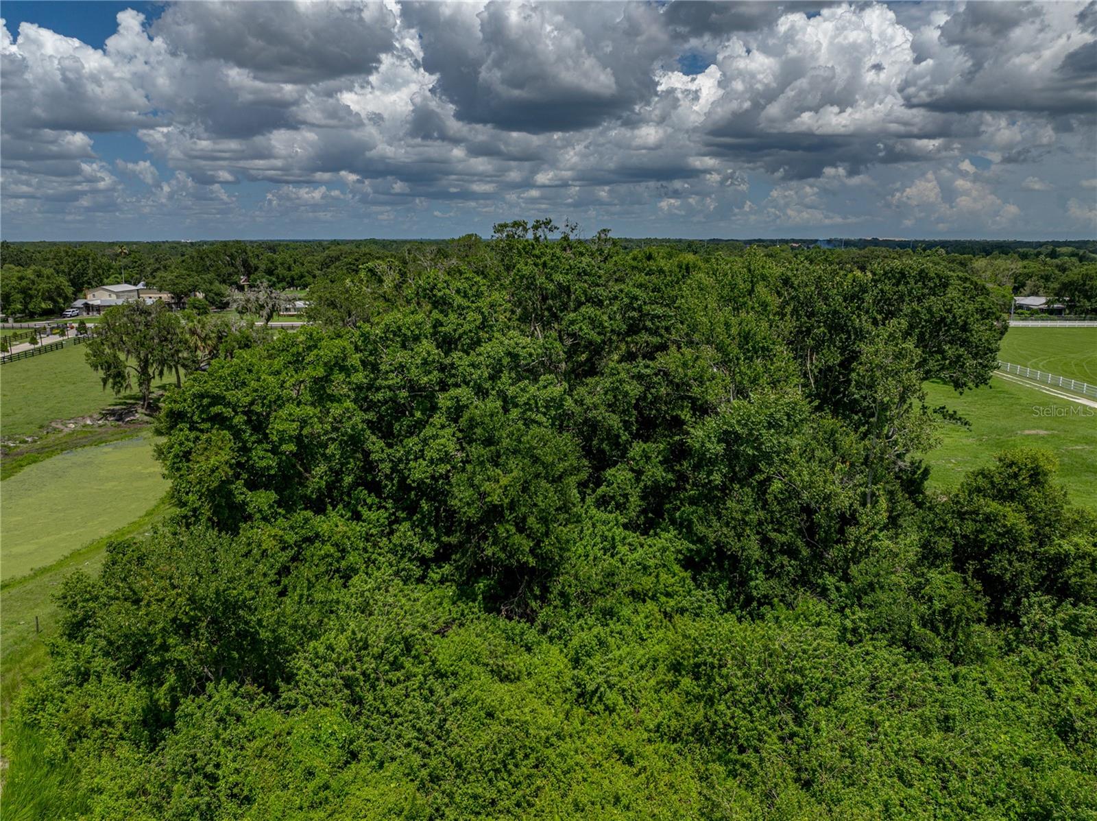 4205 OLD MULBERRY RD