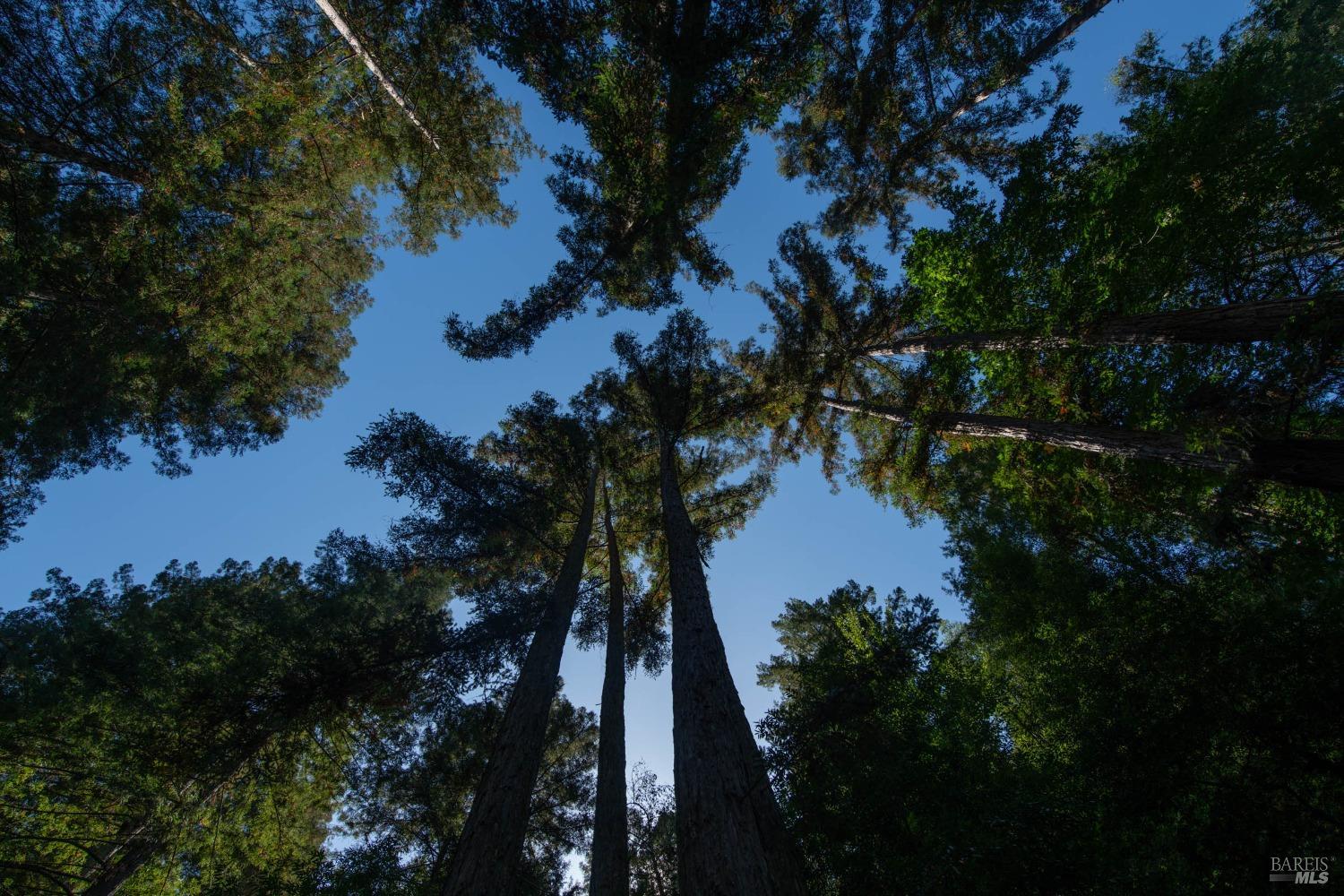 11120 Terrace Dr Ext Drive