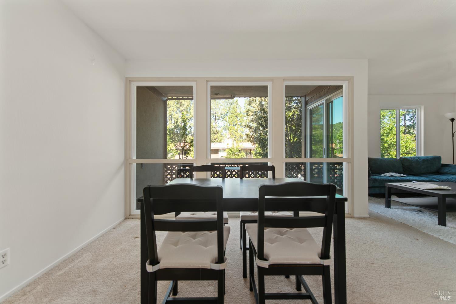88 Forest Lane