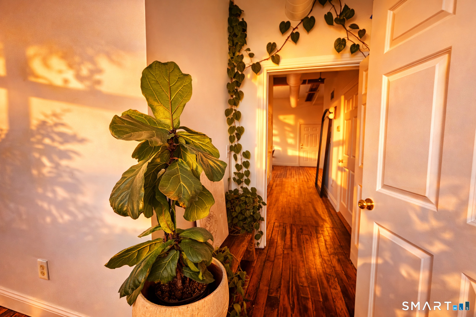 145 Canal Street 417