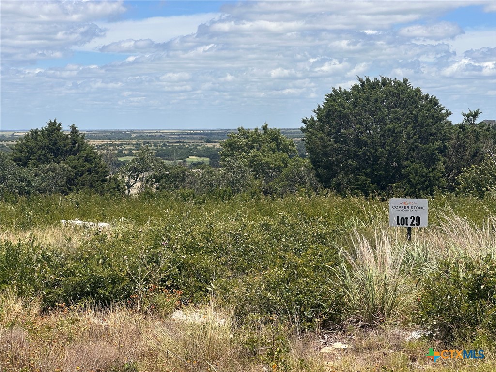 LOT 29 County Road 511