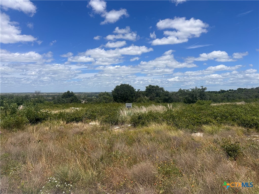 LOT 29 County Road 511