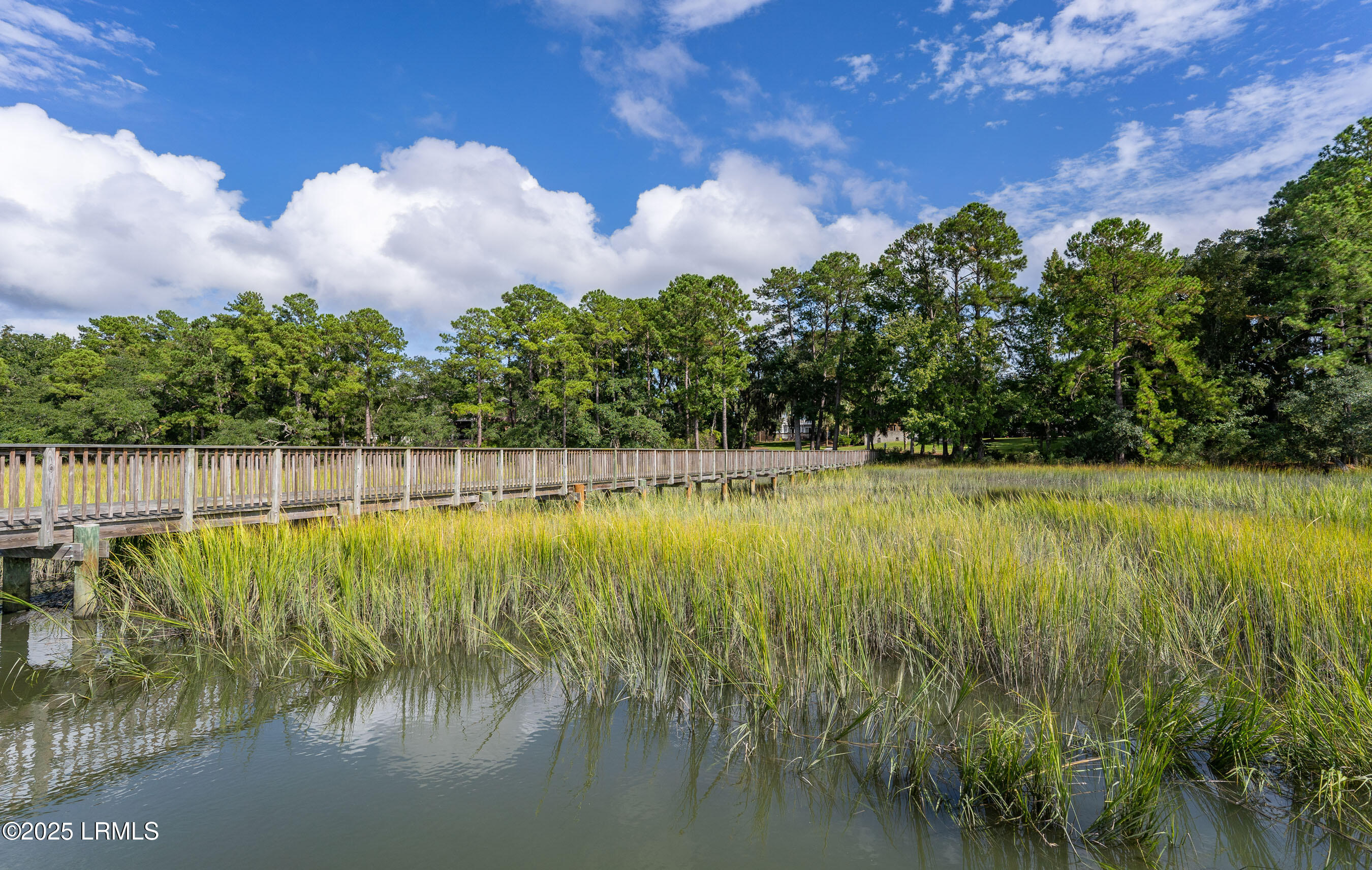 2956 Needlegrass Drive