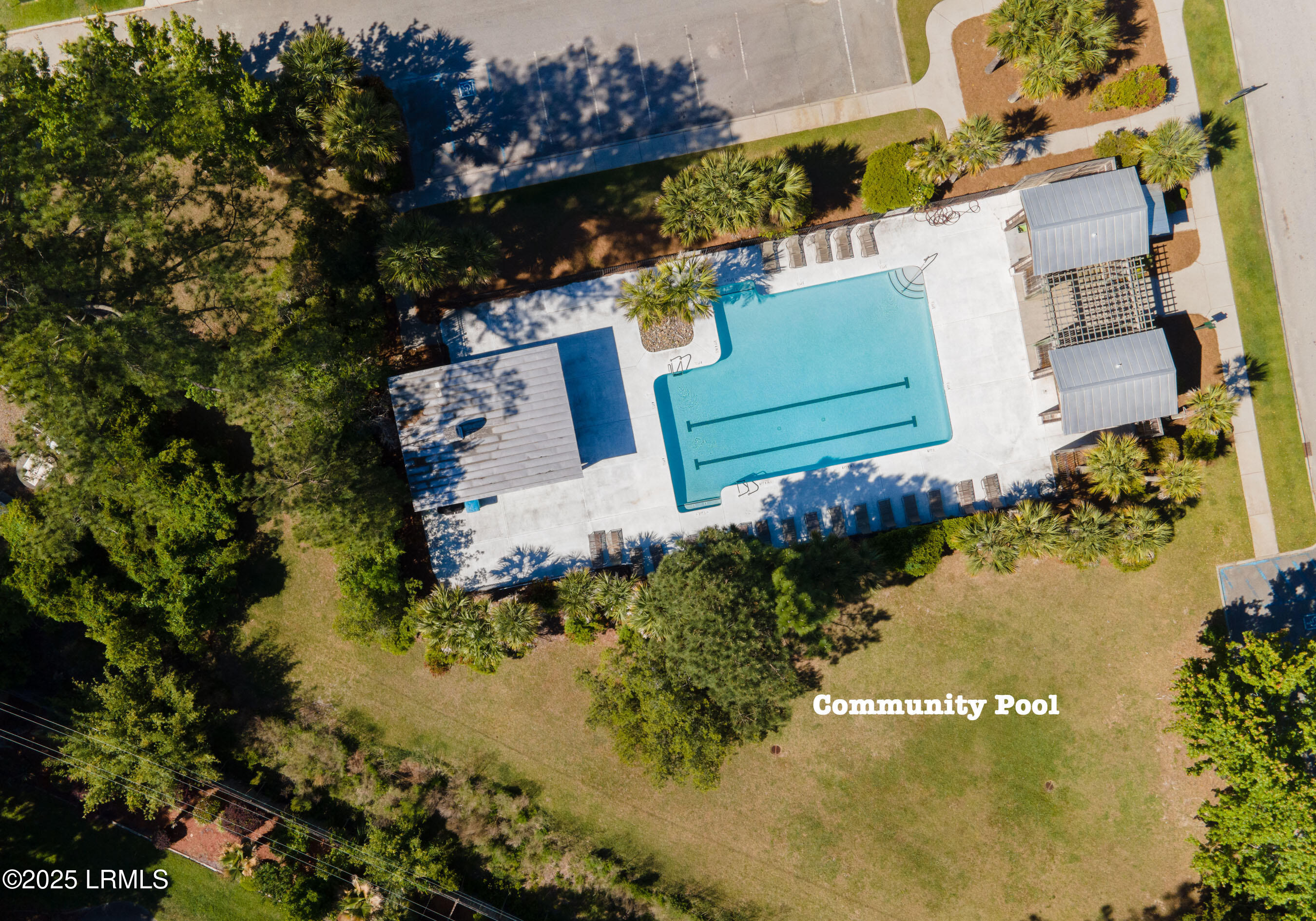 2956 Needlegrass Drive