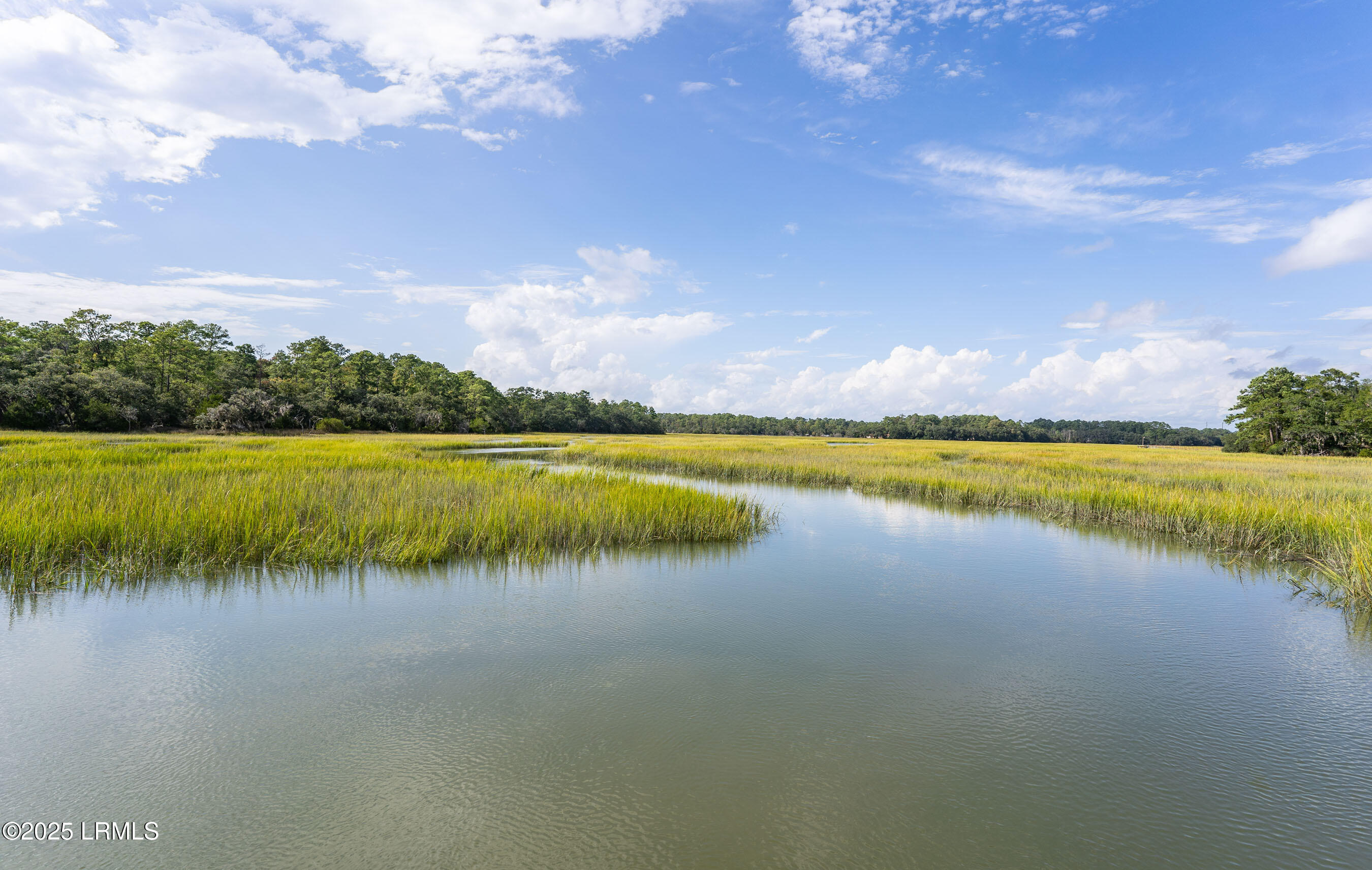 2956 Needlegrass Drive