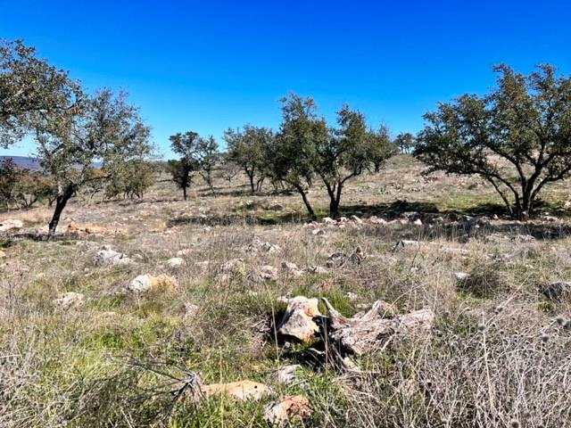 Lot 202 TBD Westridge Way, Big Creek Ranch