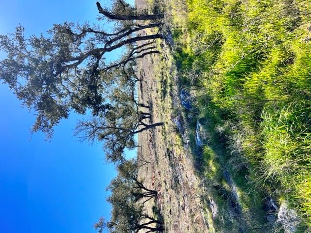 Lot 202 TBD Westridge Way, Big Creek Ranch