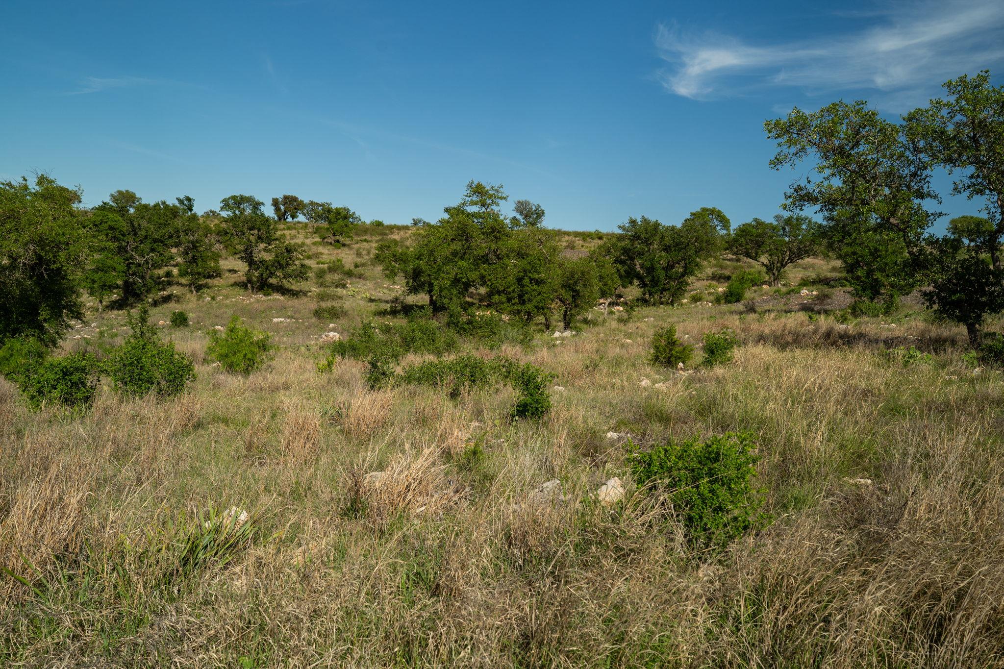Lot 202 TBD Westridge Way, Big Creek Ranch