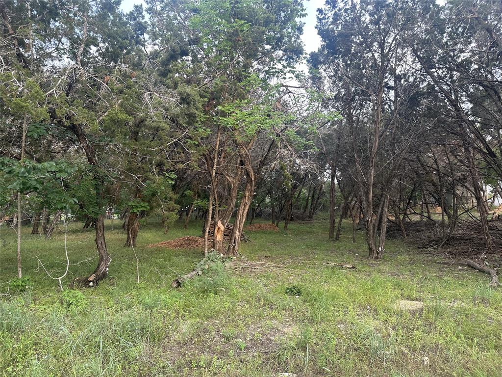 3105 Rainbow Hollow DR