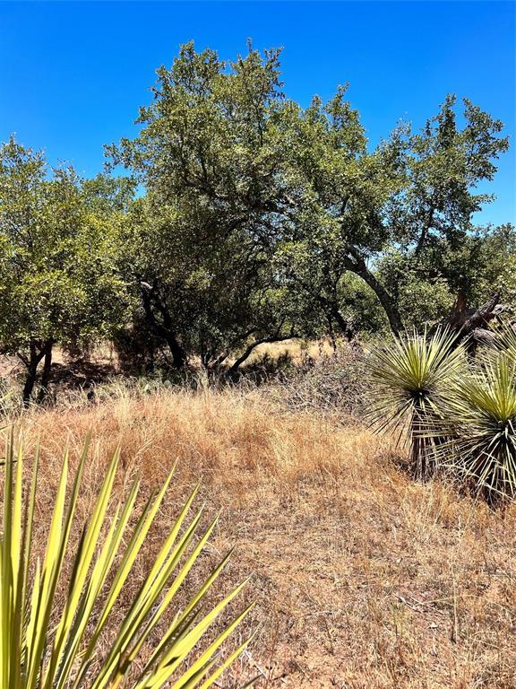 Lots 320-323 TBD W. Castlebriar DR