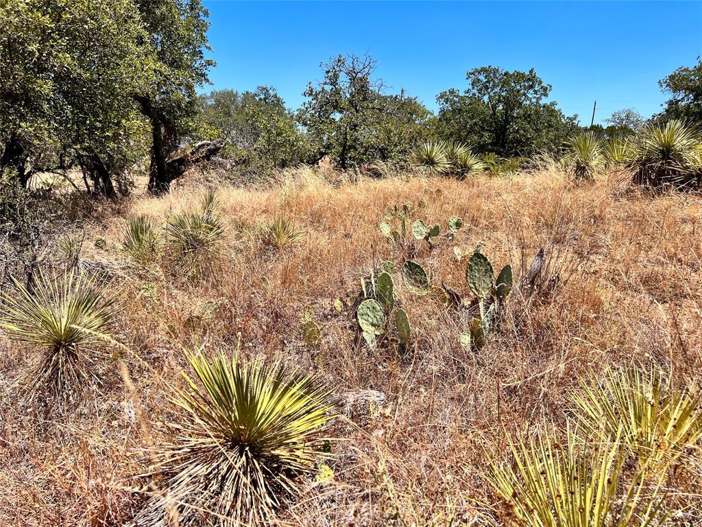 Lots 320-323 TBD W. Castlebriar DR