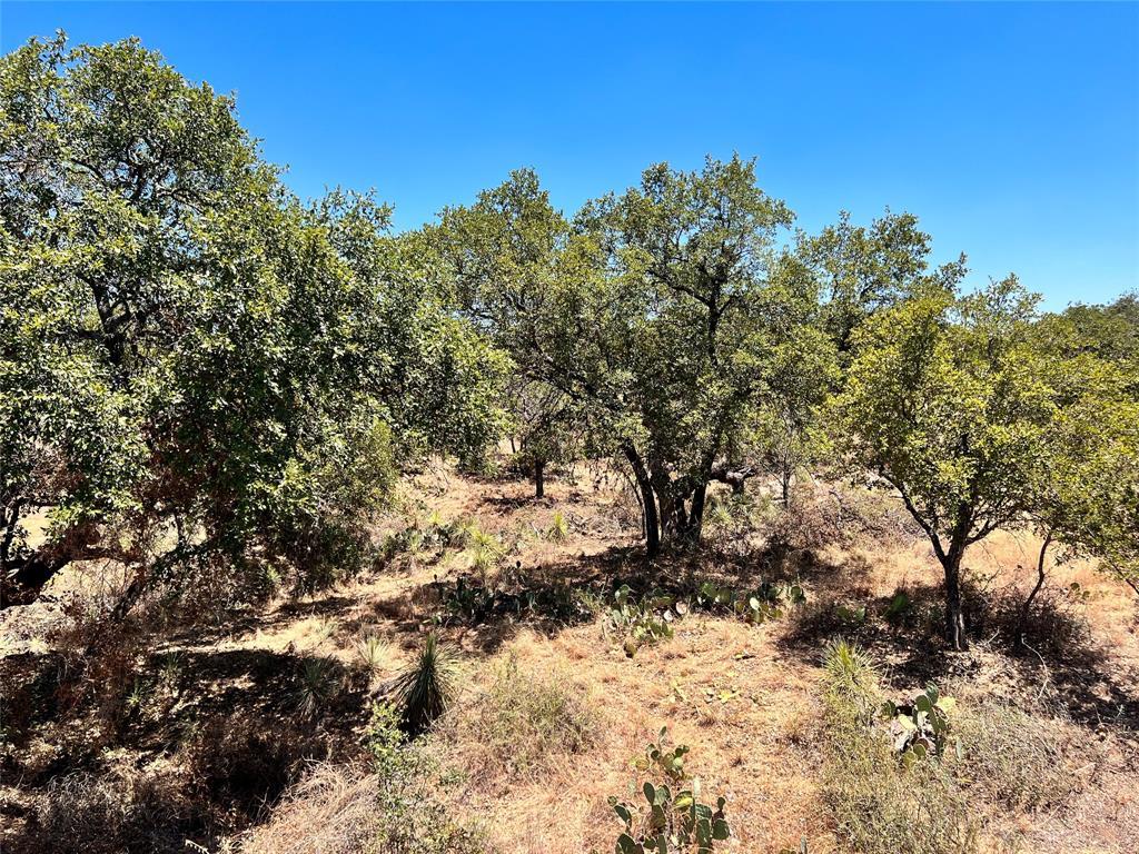 Lots 320-323 TBD W. Castlebriar DR