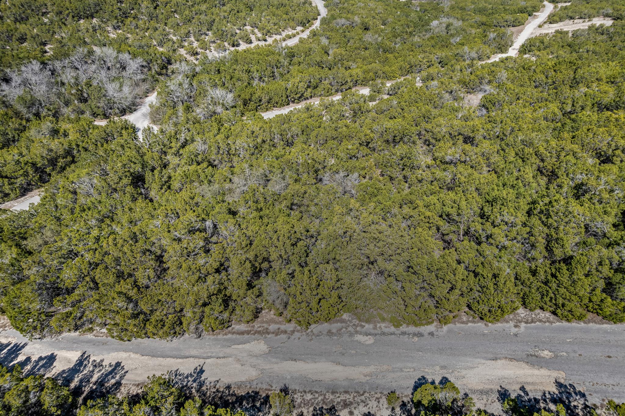 20604 Telegraph PASS