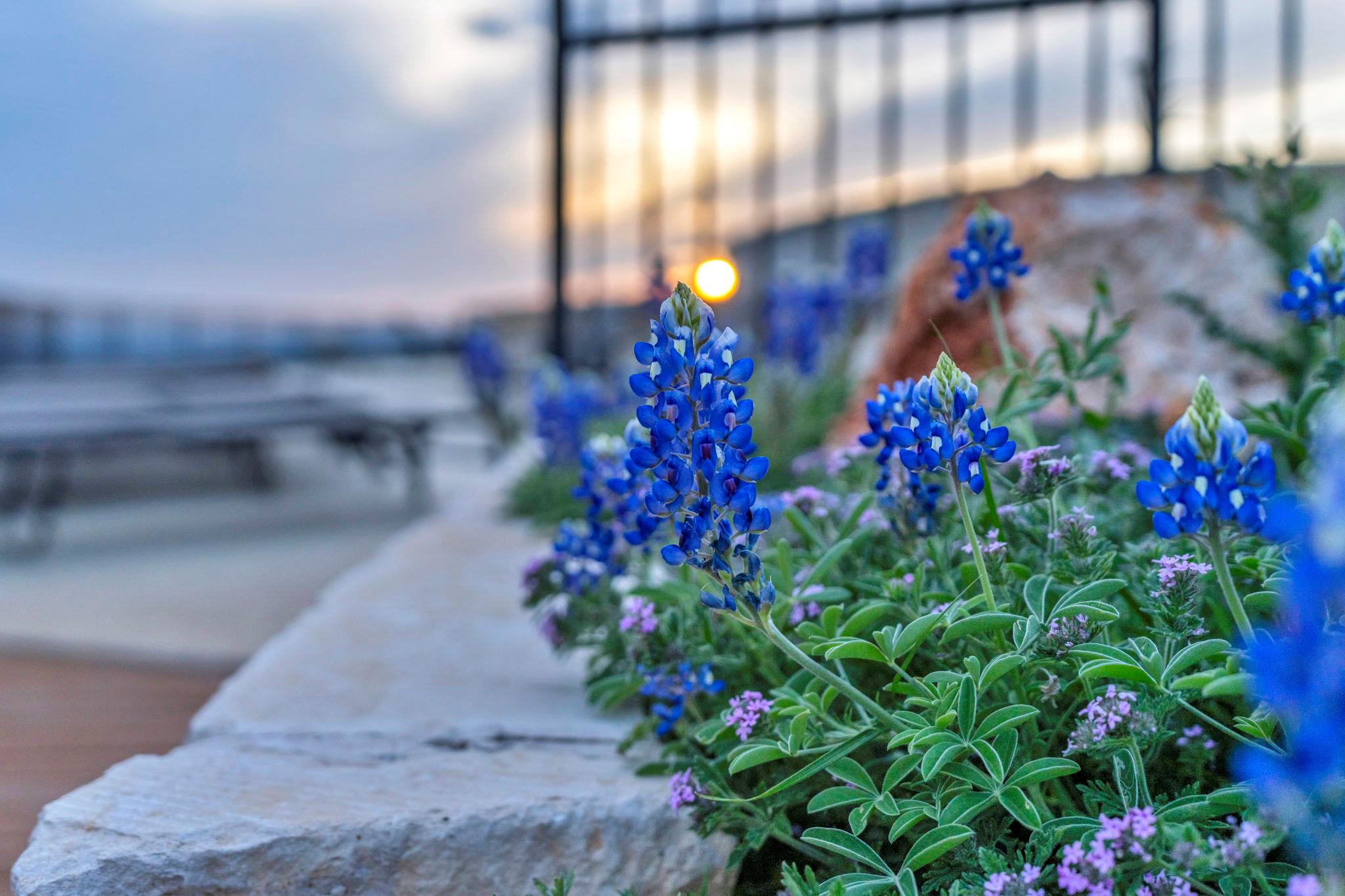 Lot 34 High Range Drive, Big Creek Ranch