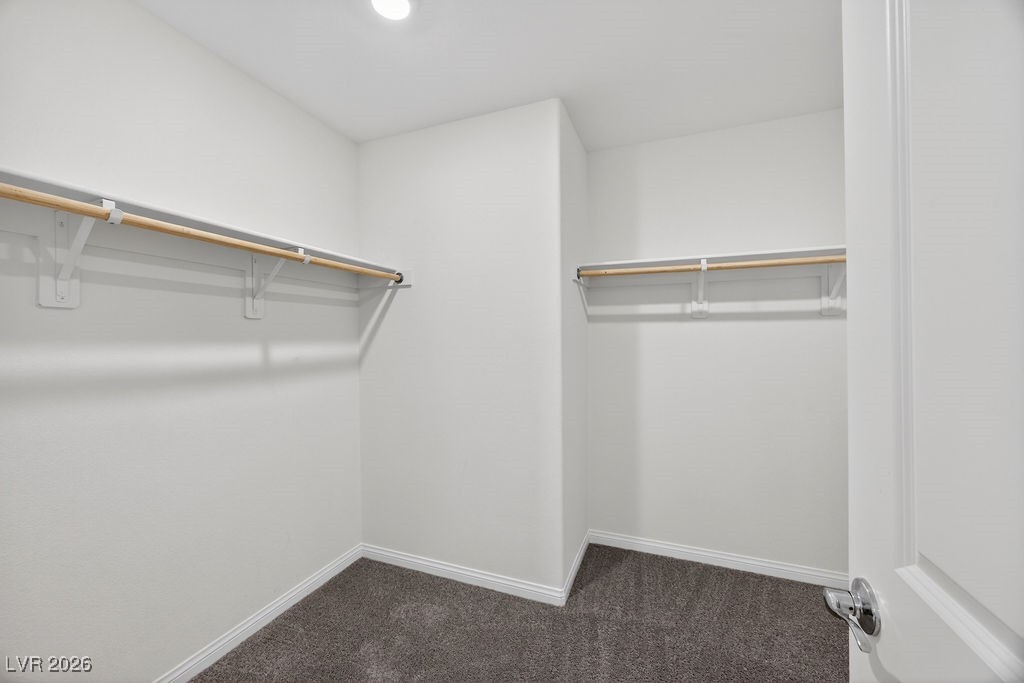 Empty walk-in closet with carpet and clothes rods along two walls.