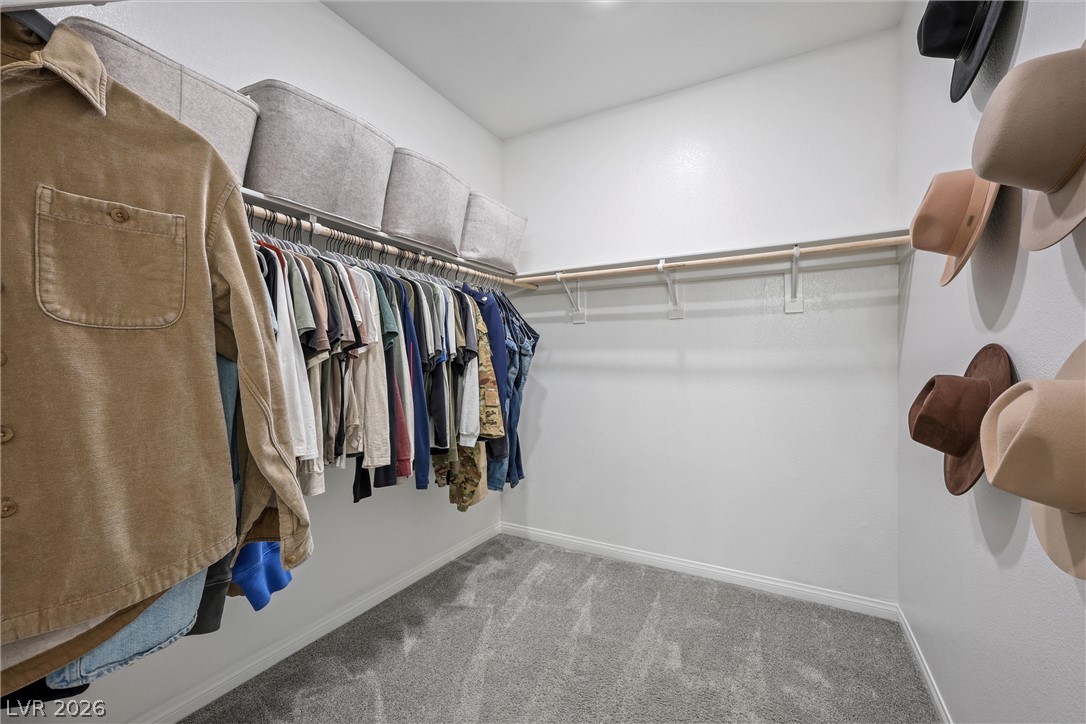 115 Destiny Orchard Court