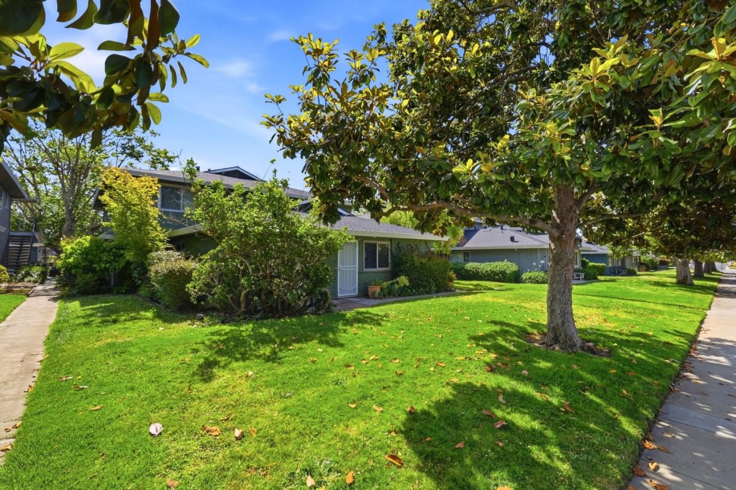 1400 Ruby CT 4