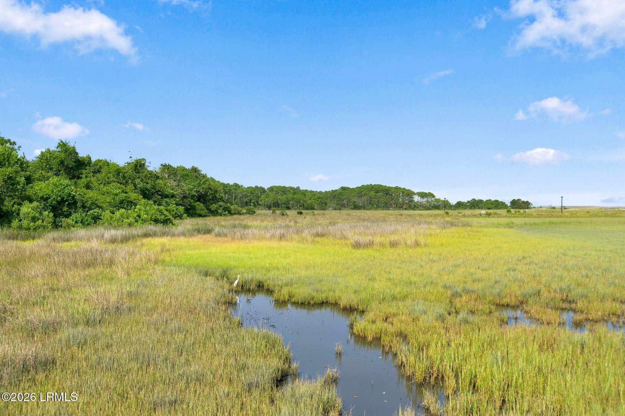 Marsh and winding tidal creek bordered by grasses, with a white wading bird and trees in the distance.