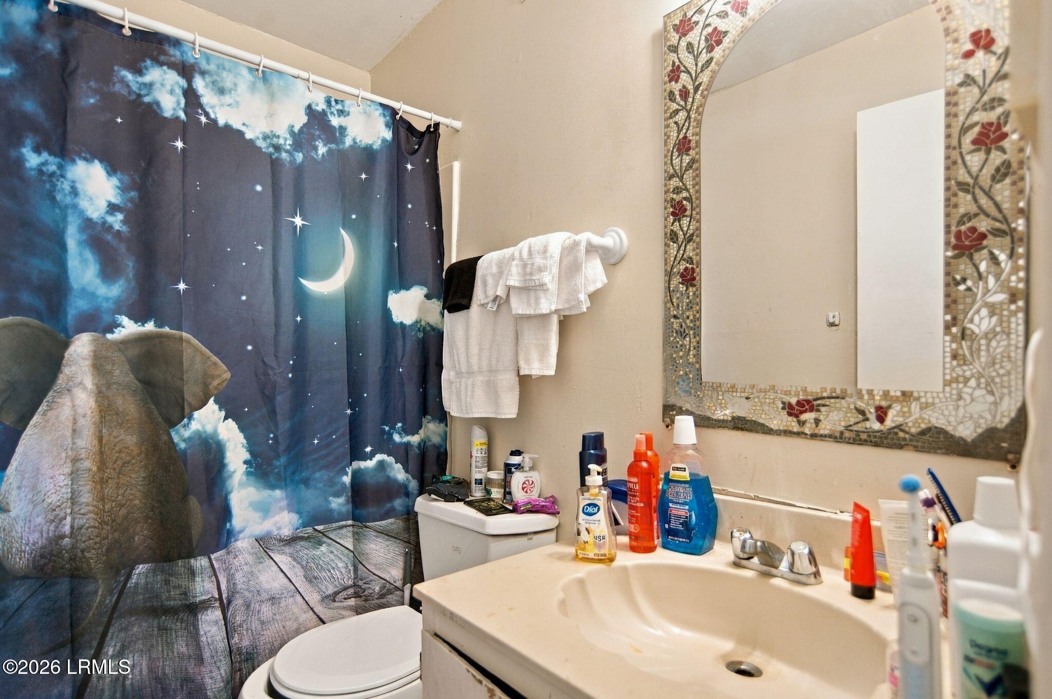 Bathroom with a floral mosaic mirror and elephant-print shower curtain