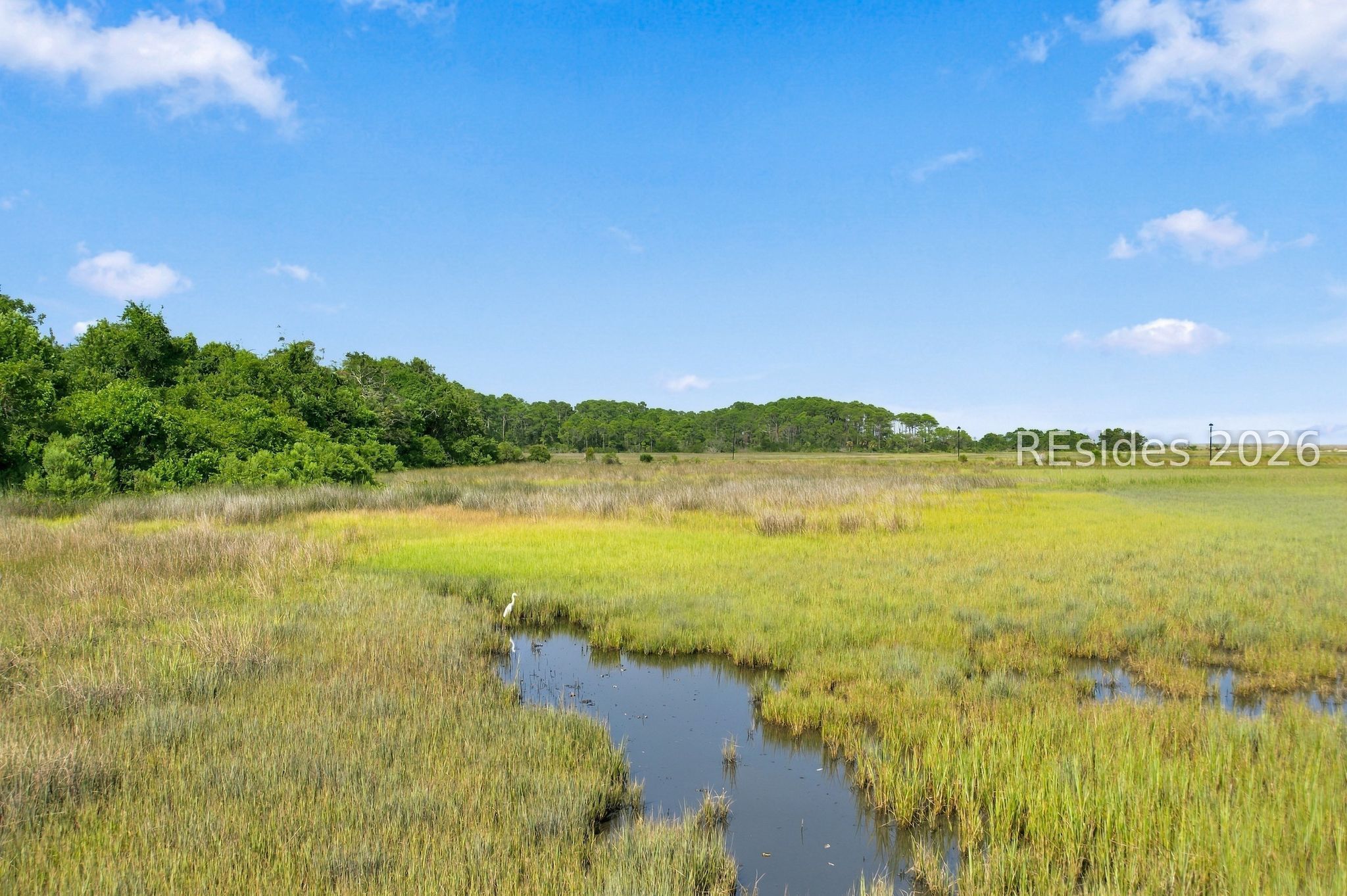 Coastal marsh and winding tidal creek with a white wading bird.