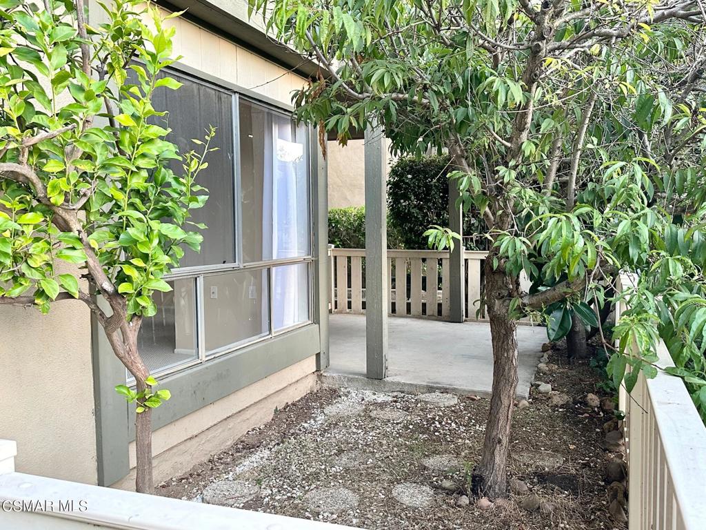 824 Pinetree Circle 16