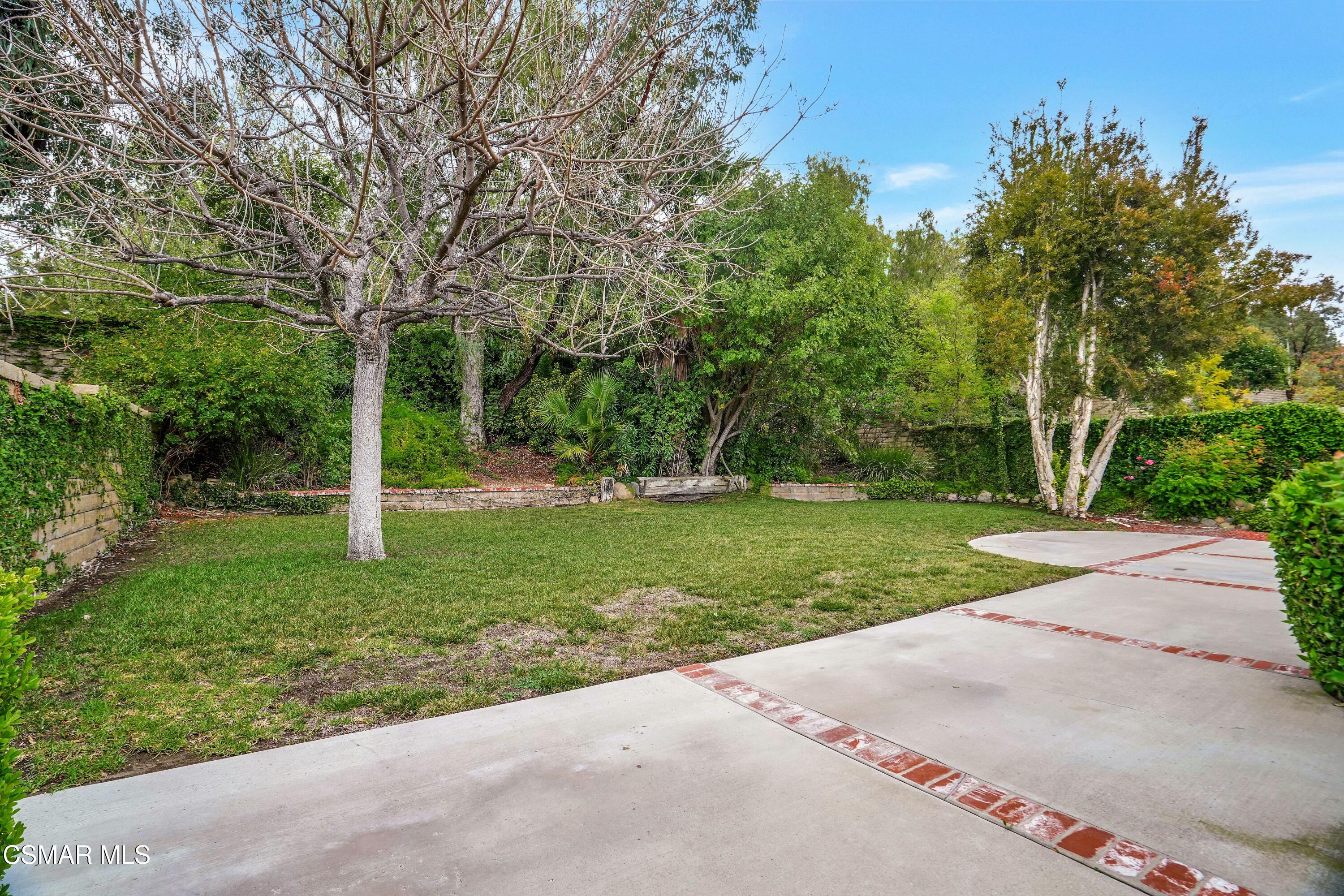23729 Cameron Court