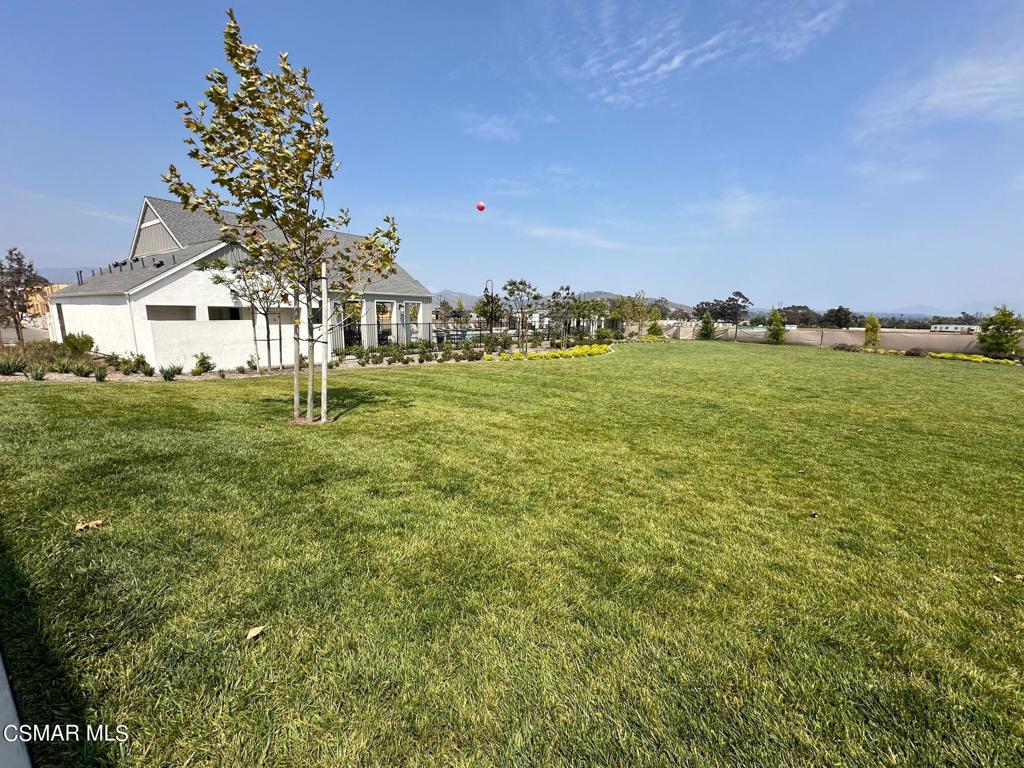 10726 Telegraph Road