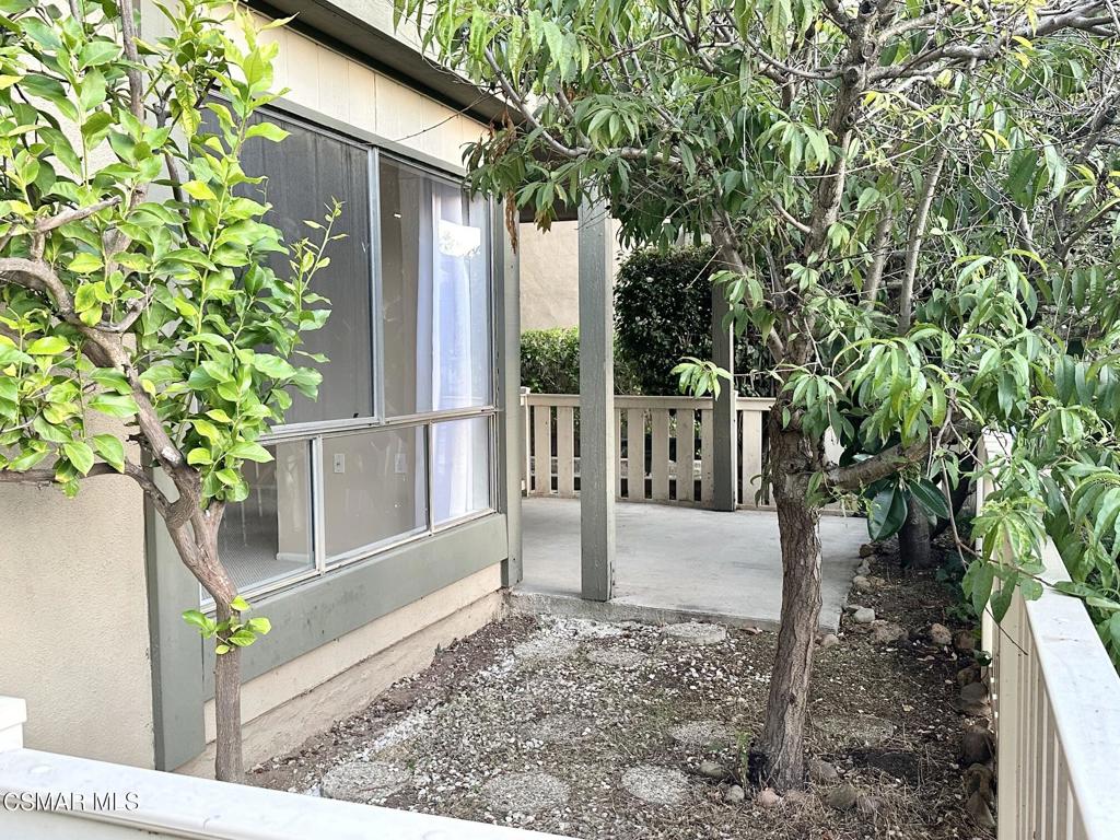 824 Pinetree Circle 16
