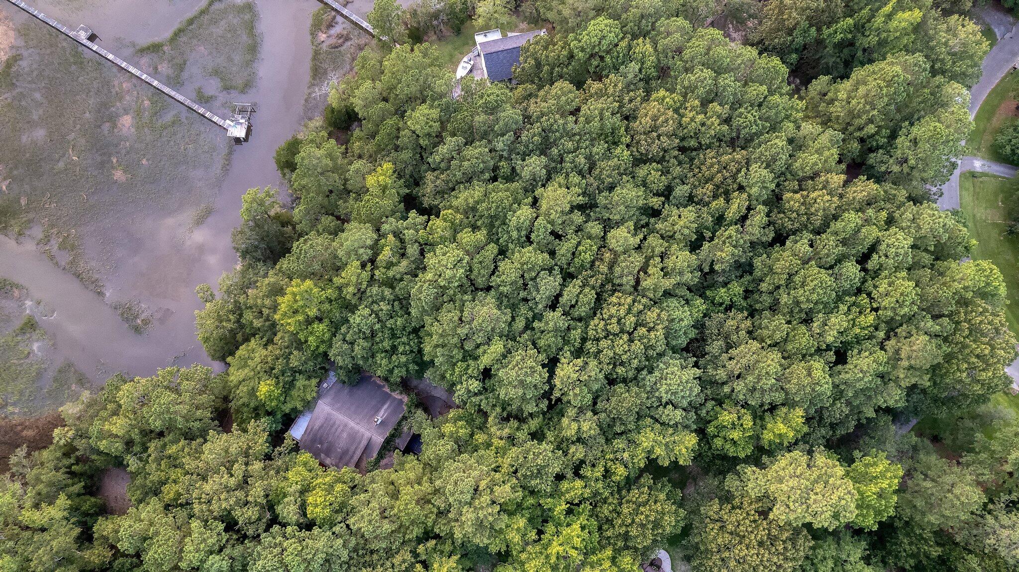 611-1 Faulkner Drive