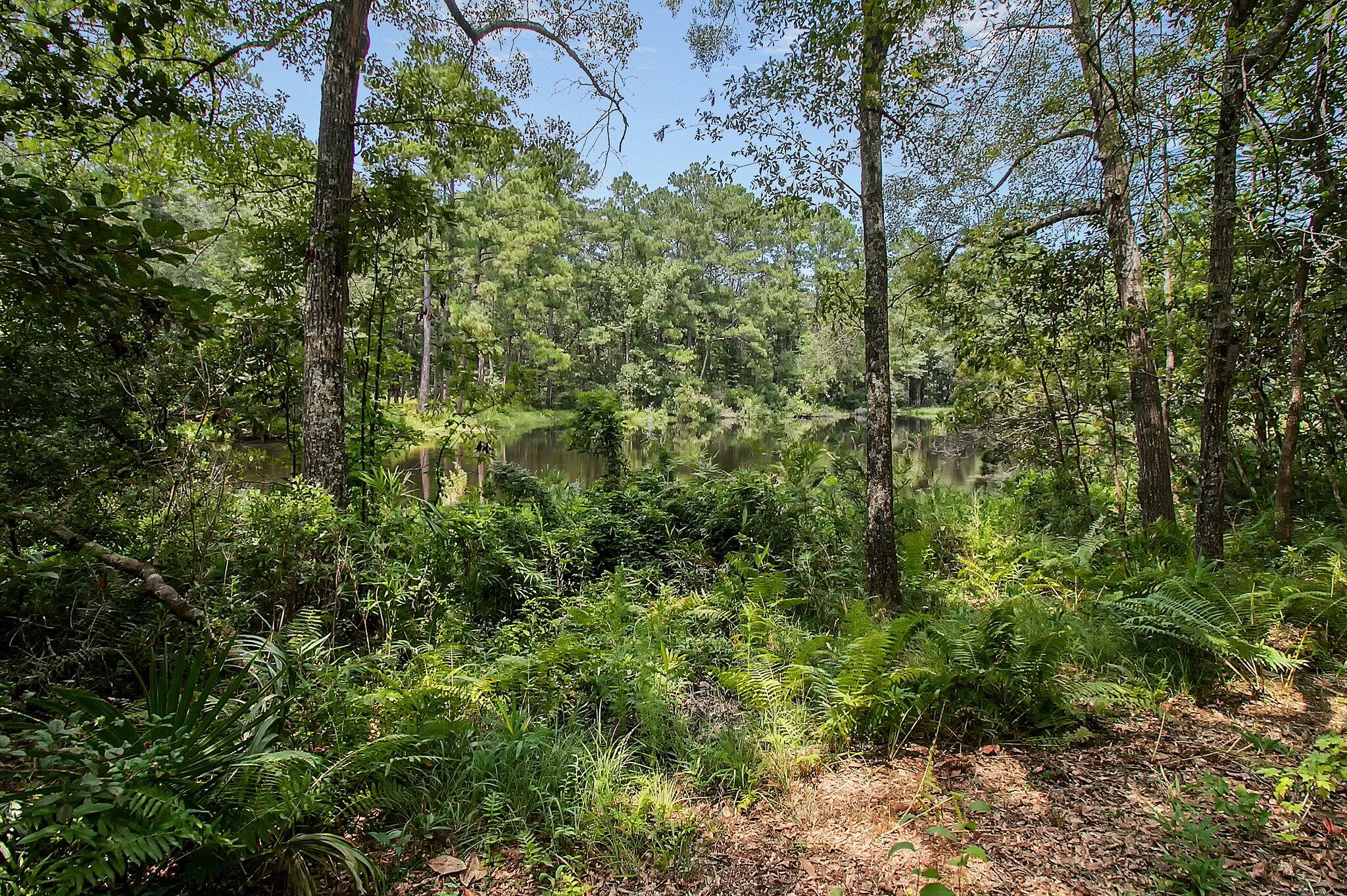 36 Middleton Oaks Road