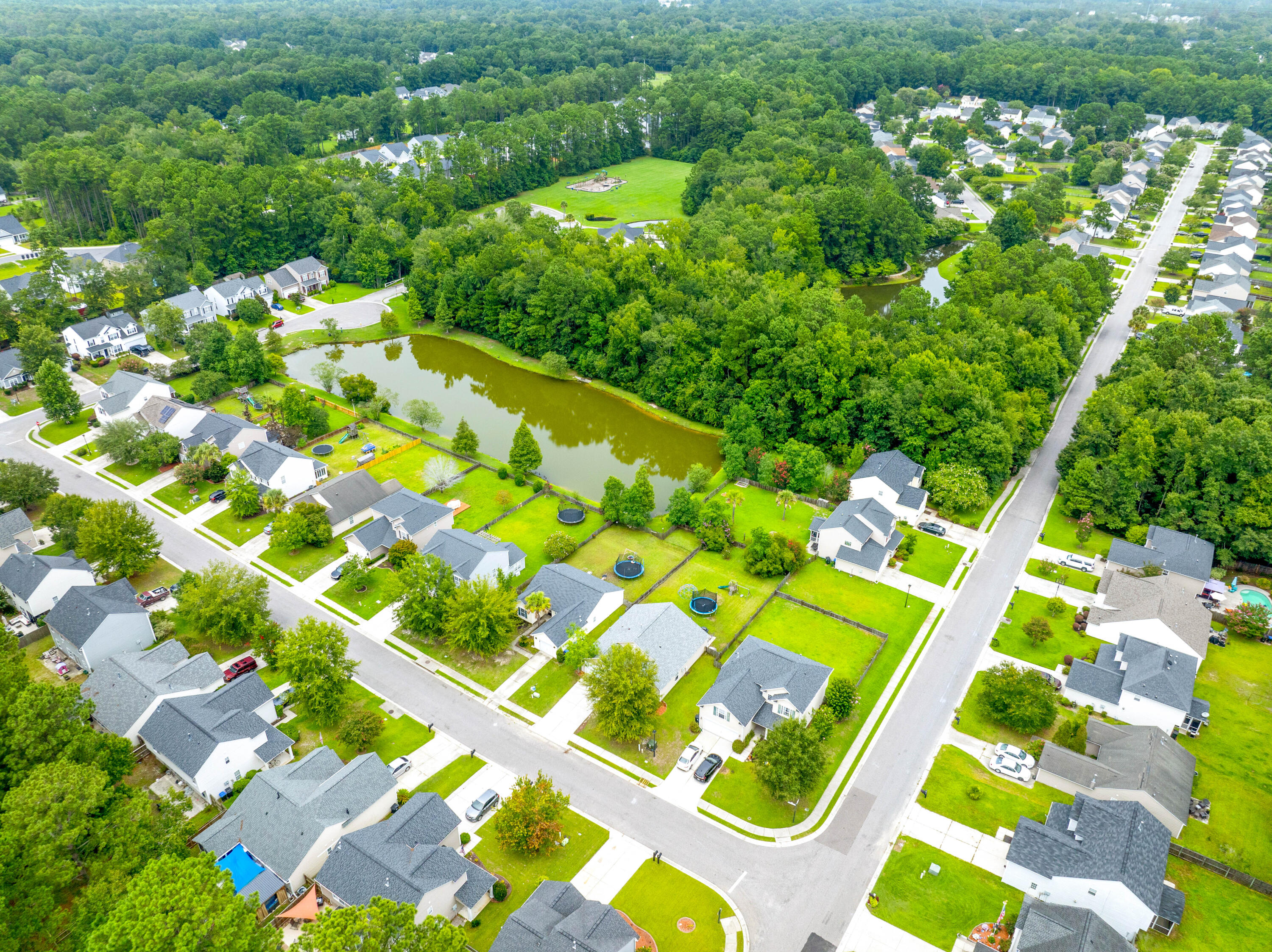 102 Trellis Lane