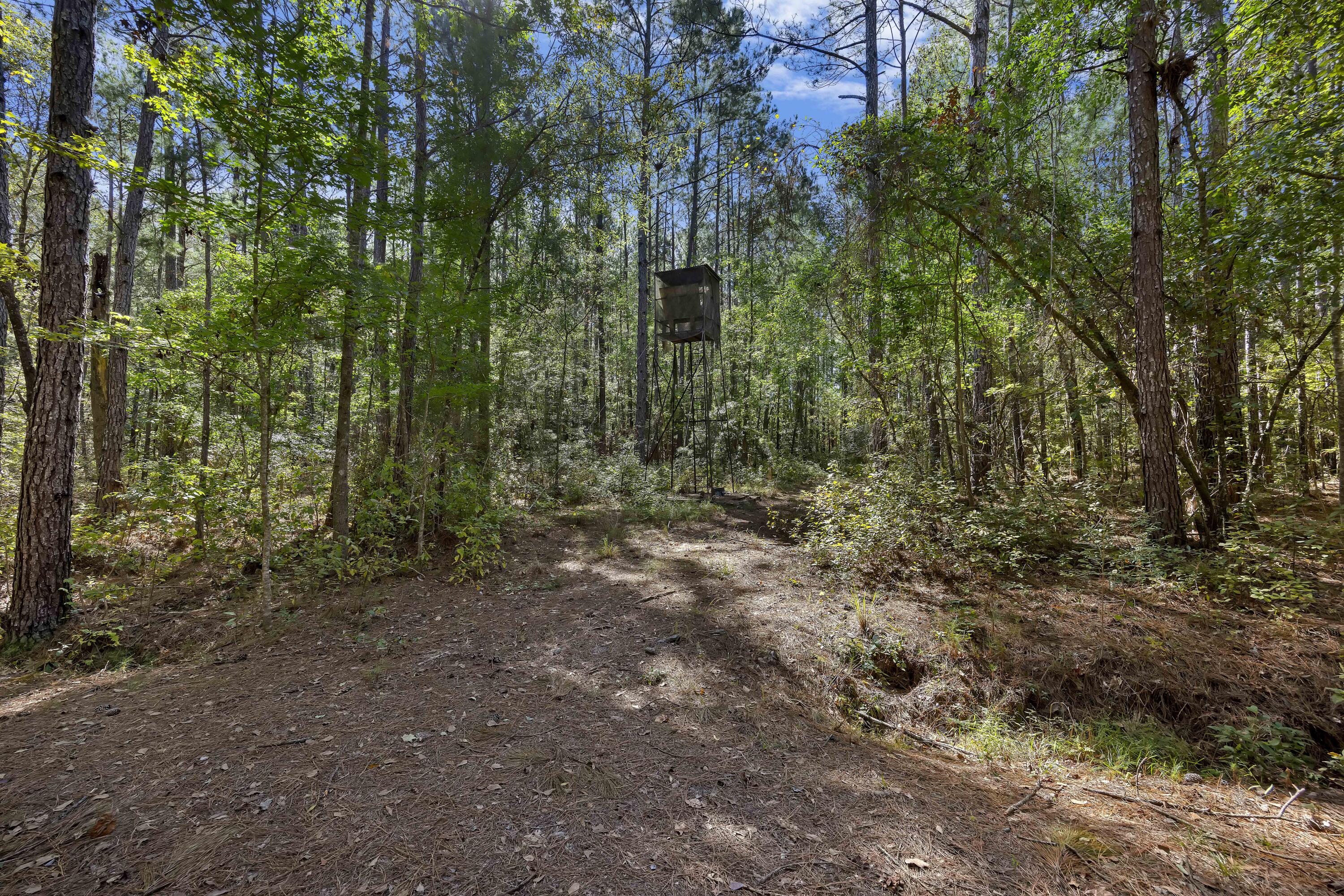 515 Whipoorwill Lane