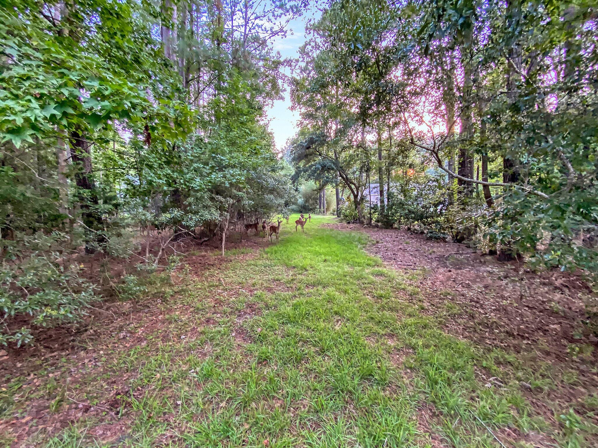 003 Faulkner Drive