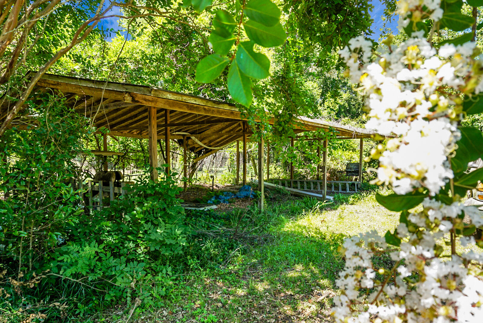 4512 Carolina Highway