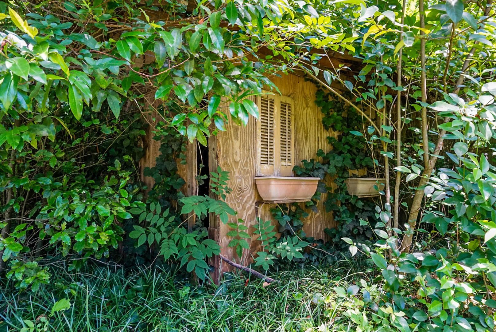 4512 Carolina Highway