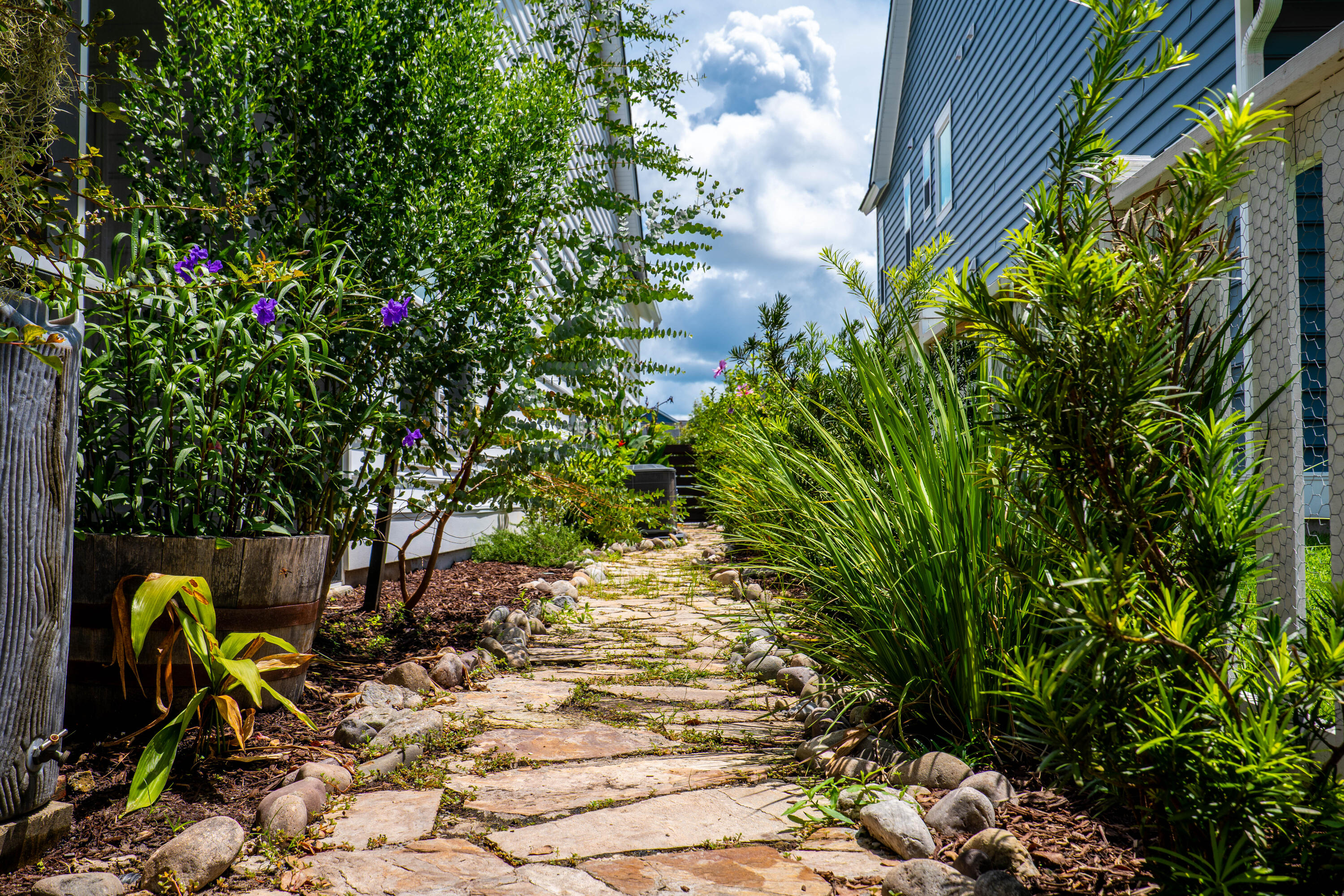 226 Garden Lily Lane